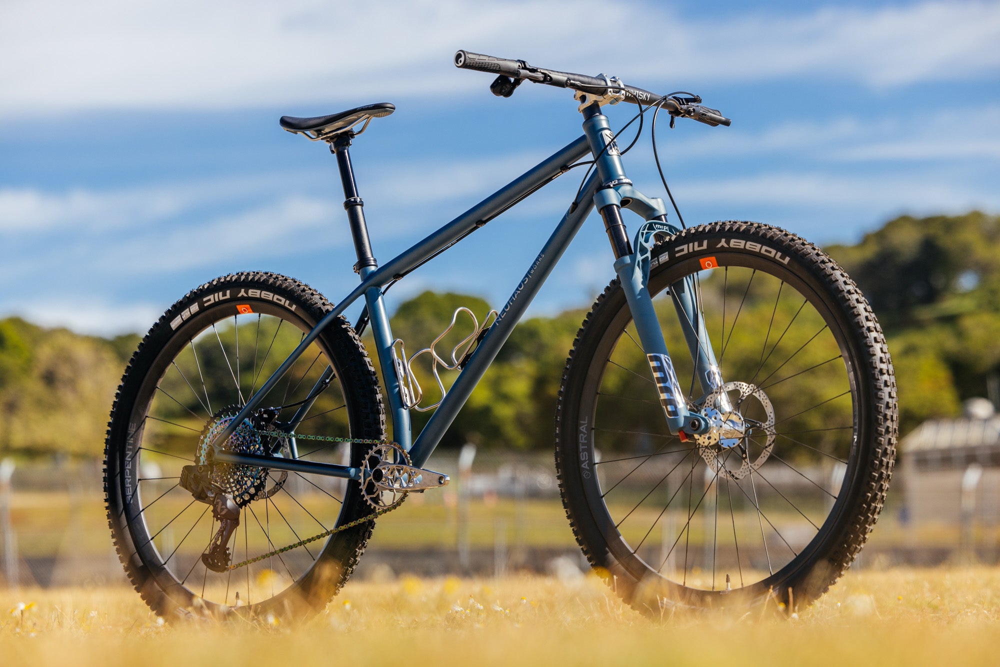 Neuhaus HBSL | Titanium Hardtail XC Mountain Bike | Made in
