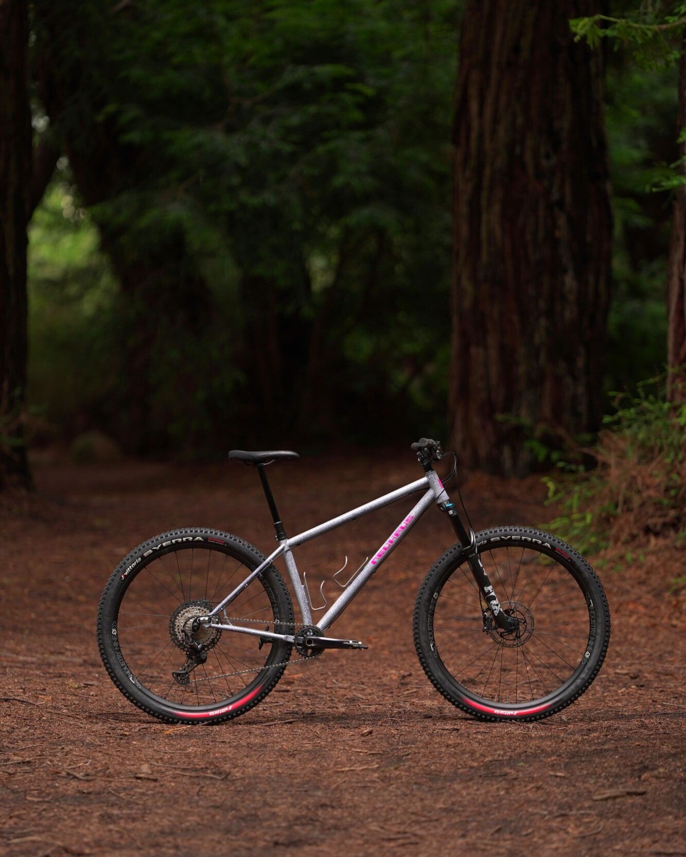 Neuhaus Metalworks Hummingbird Core steel hardtail mountain bike — handcrafted 29er trail bike with modern geometry and precision TIG-welded frame