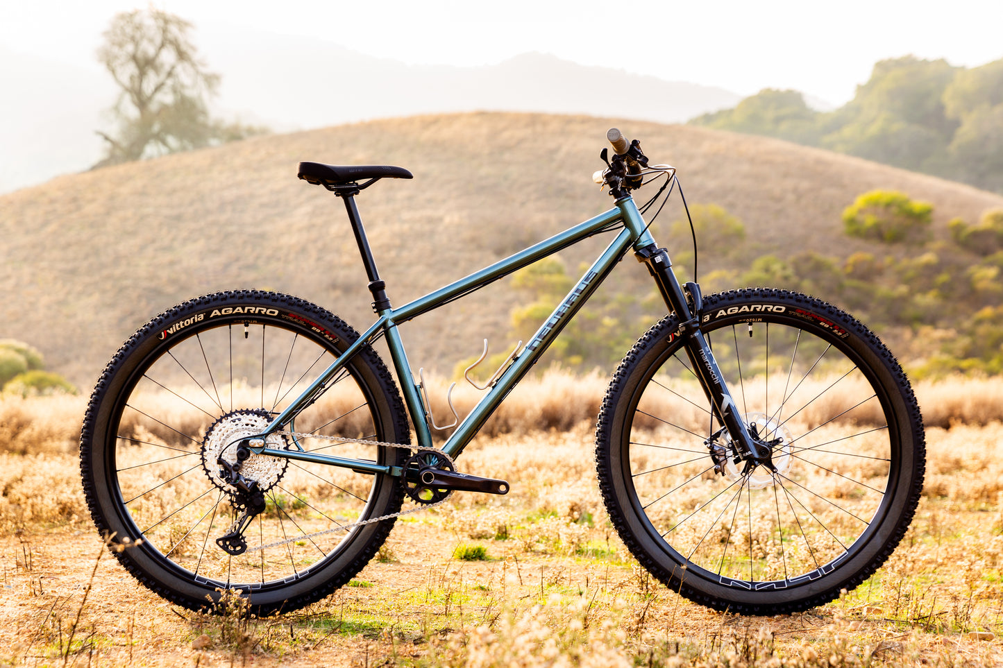 Neuhaus Metalworks Hummingbird Core steel hardtail mountain bike frame — 29er MTB with progressive trail geometry, designed in California