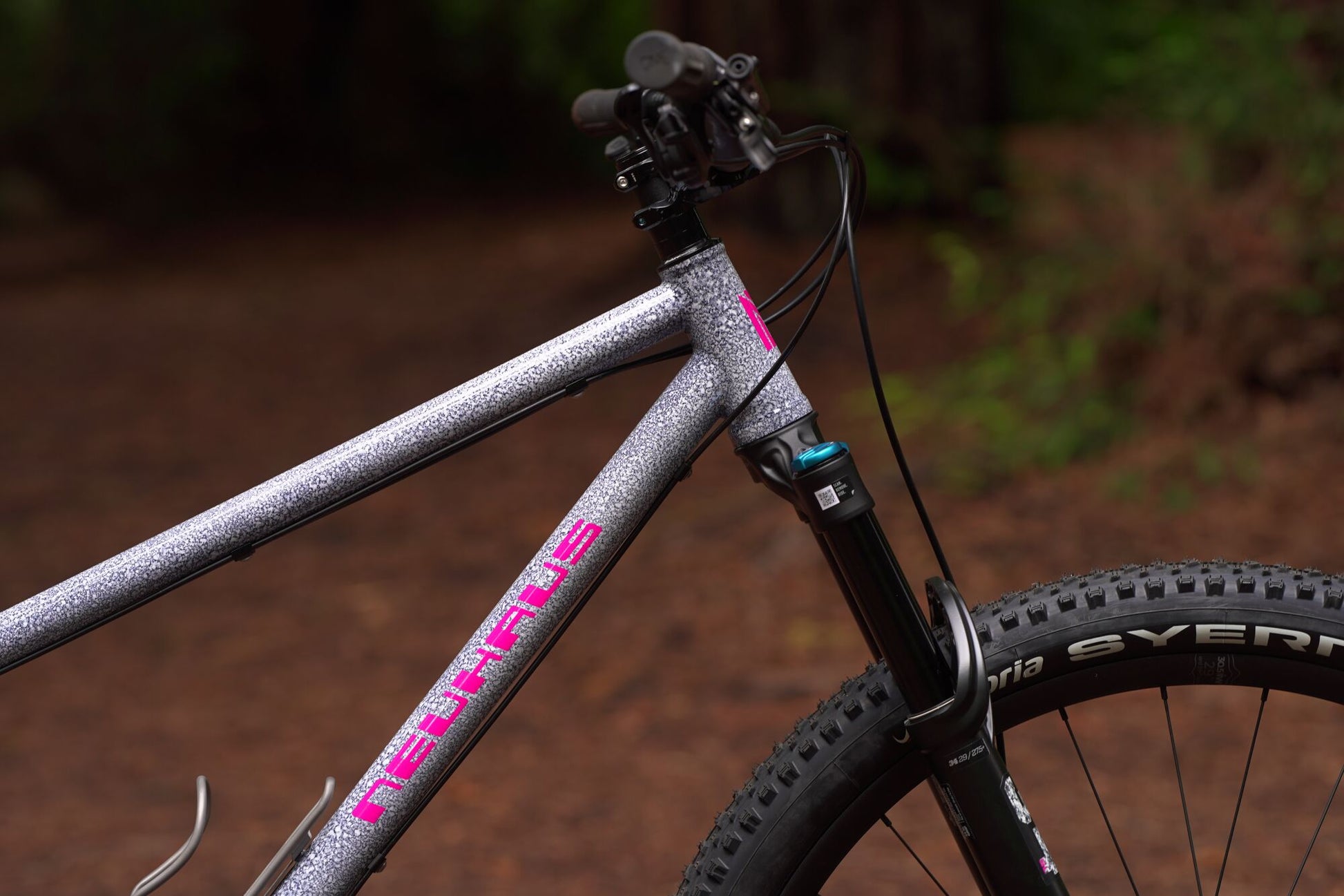 Hummingbird Core steel hardtail mountain bike by Neuhaus Metalworks — handcrafted 29er trail frame
