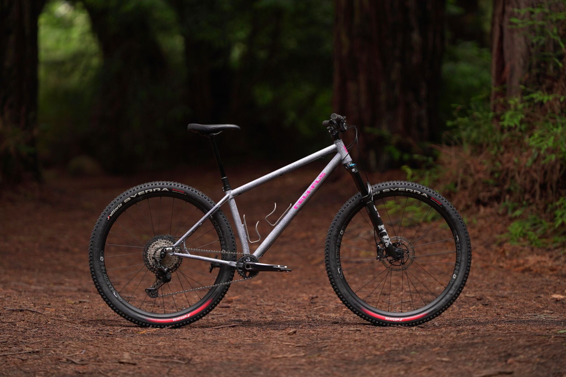 Neuhaus Metalworks Hummingbird Core steel hardtail mountain bike — handcrafted 29er trail bike with modern geometry and precision TIG-welded frame