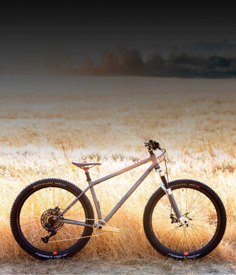 Neuhaus Metalworks Hummingbird Ti - Complete Bike
