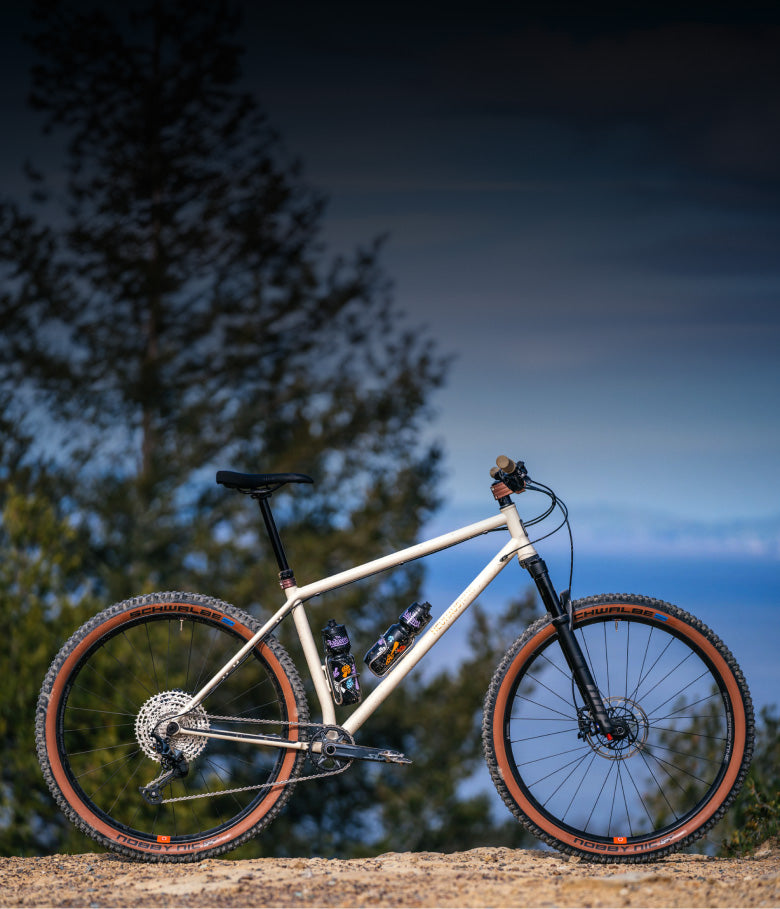 Neuhaus Metalworks Hummingbird Custom Steel Hardtail MTB Made in USA